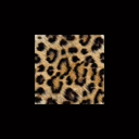 Spectral Periodic Networks for Neural Rendering