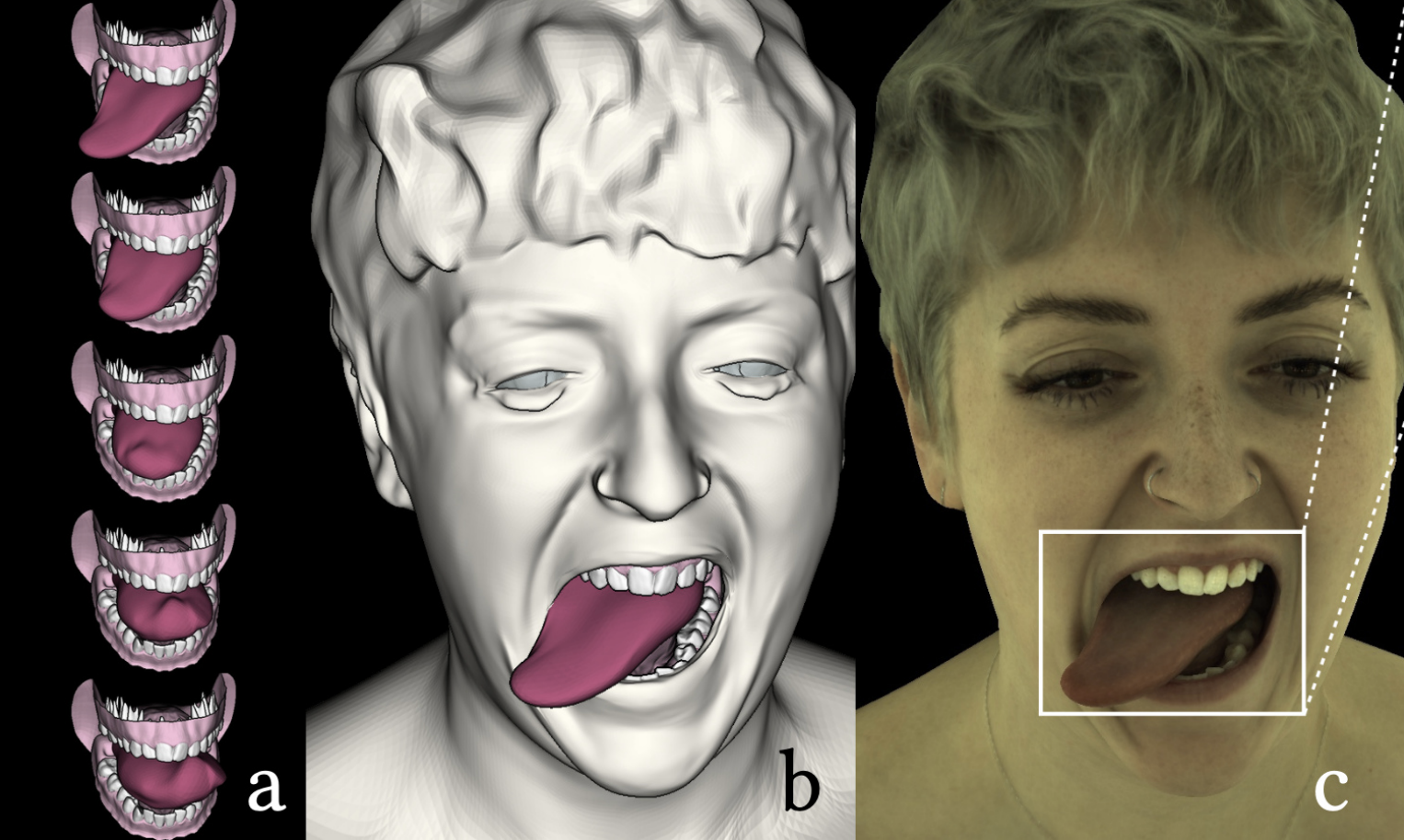 The Lips, the Teeth, the tip of the Tongue: LTT Tracking